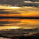 Holygold ****