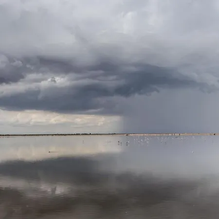 Holygold **** 4* 트리니타폴리