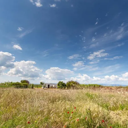 Holygold **** 4* 트리니타폴리