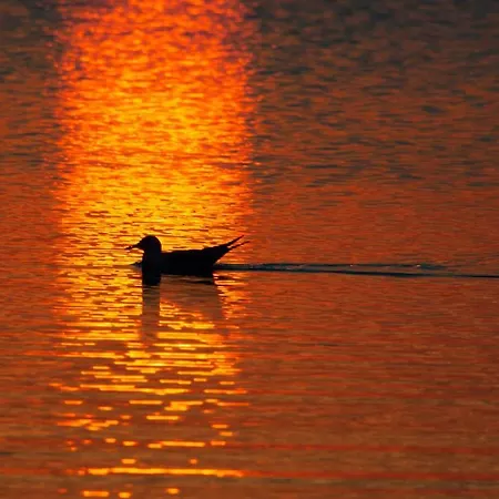 Holygold **** 4* 트리니타폴리