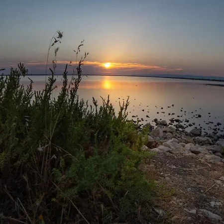 Holygold **** 4* 트리니타폴리