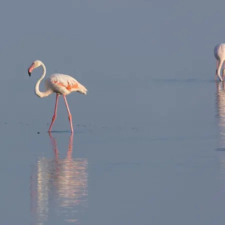 B&B Holygold **** 트리니타폴리