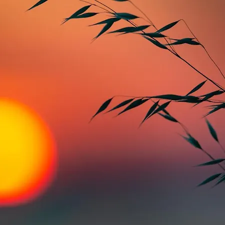 B&B Holygold **** 4*