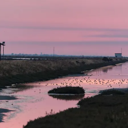 Holygold **** 트리니타폴리