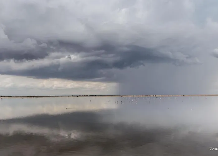 Holygold **** 4* 트리니타폴리