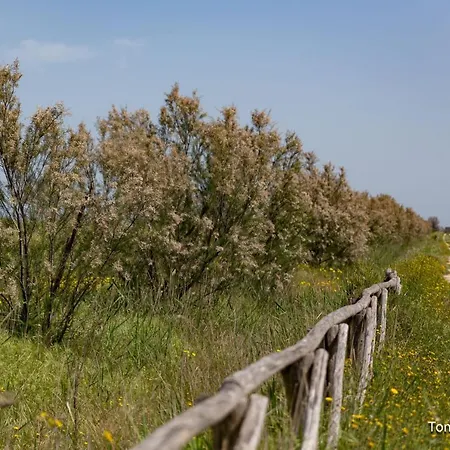 Bed & Breakfast Holygold ****