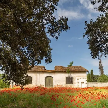Bed and Breakfast Holygold **** Trinitapoli