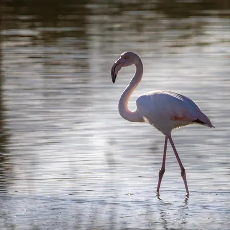 Holygold **** Bed & Breakfast