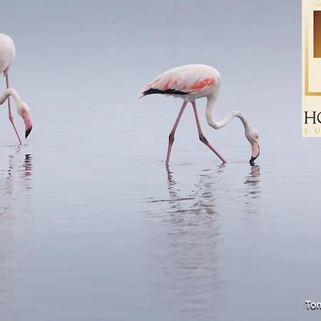 Bed & Breakfast Holygold ****