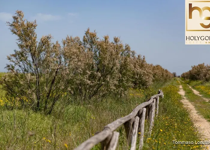 Bed & Breakfast Holygold ****