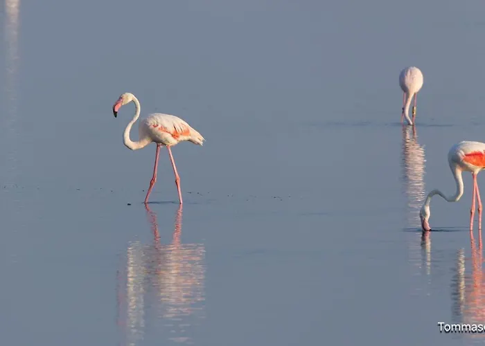 Bed & Breakfast Holygold **** Trinitapoli